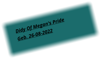 Didy Of Megan's Pride  Geb. 26-08-2022