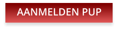 AANMELDEN PUP