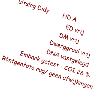 uitslag Didy        HD A                               ED vrij                             DM vrij                         Dwerggroei vrij                         DNA vastgelegd           Embark getest - COI 26 %  Rntgenfoto rug/ geen afwijkingen