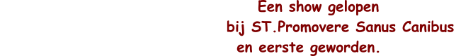 Een show gelopen                                      bij ST.Promovere Sanus Canibus                              en eerste geworden.