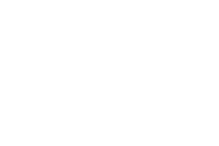 Uitslag Evy  HD A                      ED vrij                      DM drager                      HdG normaal                      DNA vastgelegd  Röntgenfoto rug/ geen afwijkingen
